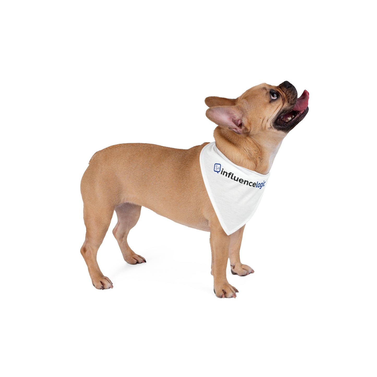 InfluenceLogic Pet Bandana